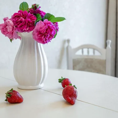 красивая в центре одессы *