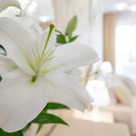 красивая в центре одессы Apartman Odessza