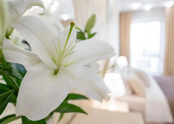 красивая в центре одессы Appartement Odessa